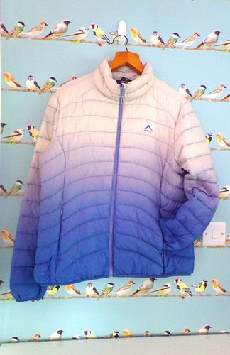 Women blue ombre swan way - women's,