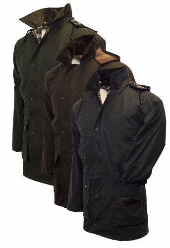 Walker hawkes padded - hawkes,